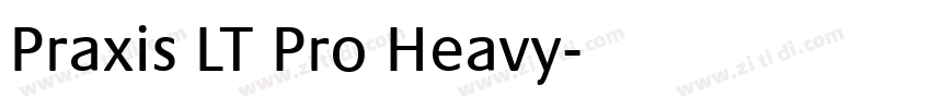 Praxis LT Pro Heavy字体转换